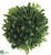 Boxwood Ball - Green - Pack of 24