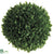 Boxwood Ball - Green - Pack of 12