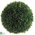 Large Boxwood Ball - Green - Pack of 6