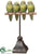 Parrot - Green - Pack of 6