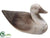 Duck - Gray - Pack of 8