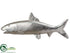 Silk Plants Direct Fish - Silver Antique - Pack of 2