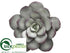Silk Plants Direct Echeveria Decor - Green Gray - Pack of 6