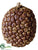 Silk Plants Direct Tropical Fruit Nut - Brown - Pack of 6