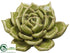 Silk Plants Direct Succulent - Green - Pack of 4