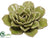 Succulent - Green - Pack of 4