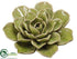 Silk Plants Direct Succulent - Green - Pack of 4