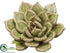 Silk Plants Direct Succulent - Green - Pack of 4