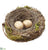 Bird's Nest With Eggs - Brown Green - Pack of 12