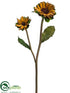 Silk Plants Direct Preserved Petal Sunflower Spray - Coffee - Pack of 12