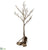Faux Twig Tree - Gray Brown - Pack of 2