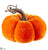 Velvet Pumpkin - Orange - Pack of 24