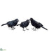 Silk Plants Direct Crow - Black - Pack of 8