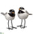 Ceramic Bird - White Gray - Pack of 2