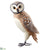 Barn Owl - Gray White - Pack of 2