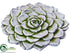Silk Plants Direct Stepping Stone - Whitewashed Green - Pack of 4