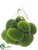 Silk Plants Direct Moss Egg - Green - Pack of 6