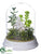 Silk Plants Direct Bird, Succulent - Green White - Pack of 1