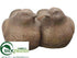 Silk Plants Direct Planter - Beige Brown - Pack of 2