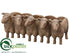 Silk Plants Direct Planter - Beige Brown - Pack of 2