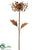 Knock-Down Metal Spider Mum Garden Stake - Rust - Pack of 2