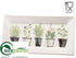 Silk Plants Direct Plate - Cream Green - Pack of 6