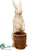 Bunny - Beige Brown - Pack of 1