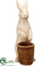 Silk Plants Direct Bunny - Beige Brown - Pack of 1