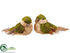 Silk Plants Direct Bird - Green Brown - Pack of 6