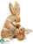 Bunny - Beige White - Pack of 4