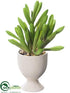 Silk Plants Direct Aeonium Plant - Green - Pack of 12