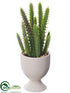 Silk Plants Direct Cactus - Green - Pack of 12