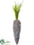 Carrot - Whitewashed Green - Pack of 6