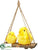 Chicken - Yellow - Pack of 8