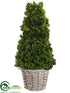 Silk Plants Direct Preserved Celosia Cone Topiary - Green - Pack of 1