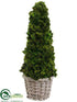 Silk Plants Direct Preserved Celosia Cone Topiary - Green - Pack of 1