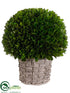 Silk Plants Direct Preserved Boxwood Ball - Green - Pack of 1