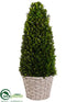 Silk Plants Direct Preserved Boxwood Cone Topiary - Green - Pack of 1