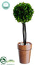 Silk Plants Direct Preserved Boxwood Ball Topiary - Green - Pack of 6