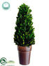 Silk Plants Direct Preserved Boxwood Cone Topiary - Green - Pack of 6