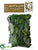 Reindeer Moss - Green - Pack of 6