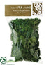 Silk Plants Direct Reindeer Moss - Green - Pack of 6