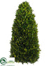 Silk Plants Direct Preserved Boxwood Cone Topiary - Green - Pack of 1
