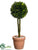 Preserved Boxwood Two Ball Topiary - Green - Pack of 6