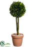 Silk Plants Direct Preserved Boxwood Two Ball Topiary - Green - Pack of 6