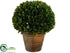 Silk Plants Direct Preserved Boxwood Ball Topiary - Green - Pack of 2