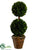 Preserved Boxwood Two Ball Topiary - Green - Pack of 2