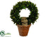 Silk Plants Direct Preserved Boxwood Wreath Topiary - Green - Pack of 2