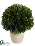 Silk Plants Direct Preserved Tea Leaf Ball - Green - Pack of 1