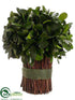 Silk Plants Direct Preserved Tea Leaf Bundle - Green - Pack of 4